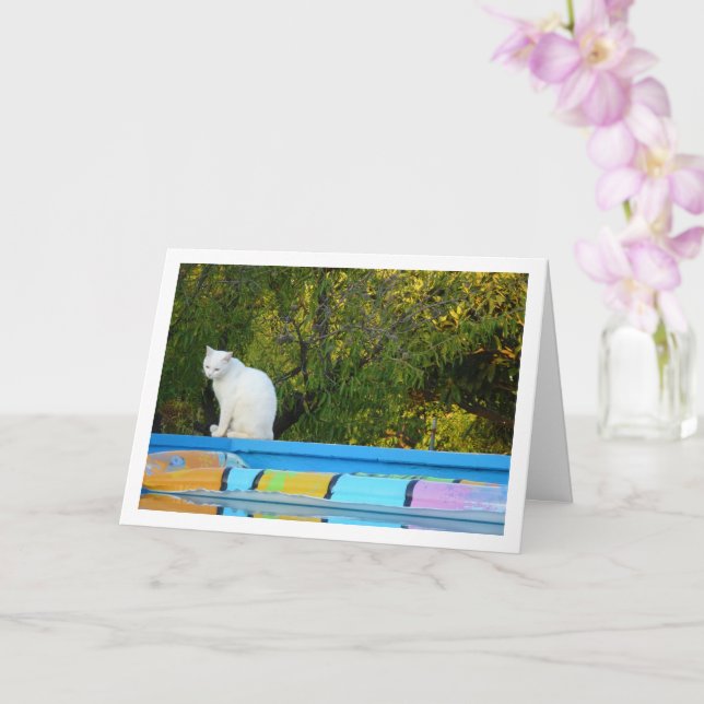 Carte Chat blanc à la piscine (Orchidée)