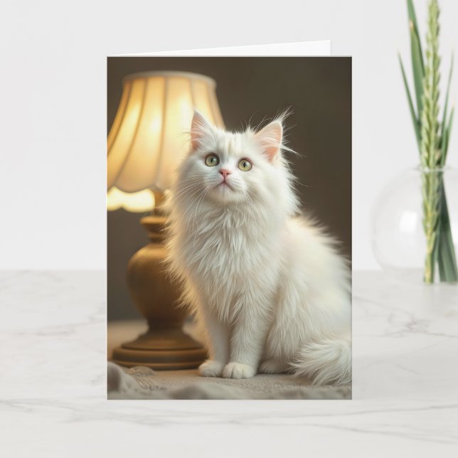 Carte Chat Blanc Anniversaire Assis Dans Un Lamplificate (Devant)