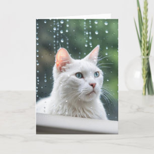 Carte Chat Blanc Anniversaire Dans La Fenêtre Pluie