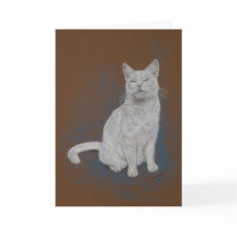 chat, blanc, joyeux anniversaire, beaux-arts