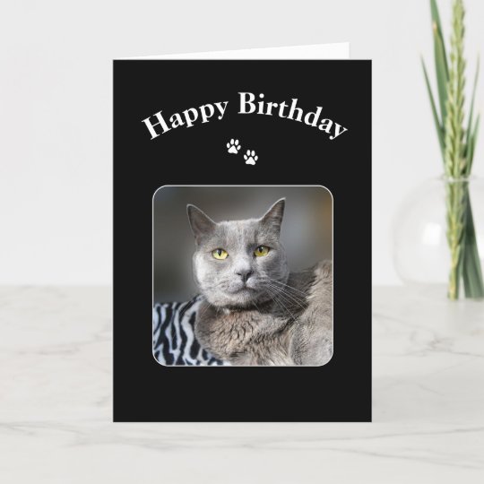 Carte Chat Bleu Russe De Joyeux Anniversaire Zazzle Fr