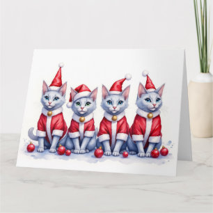 Carte Chat Bleu Russe Robe de Noël Chapeau de Père Noël