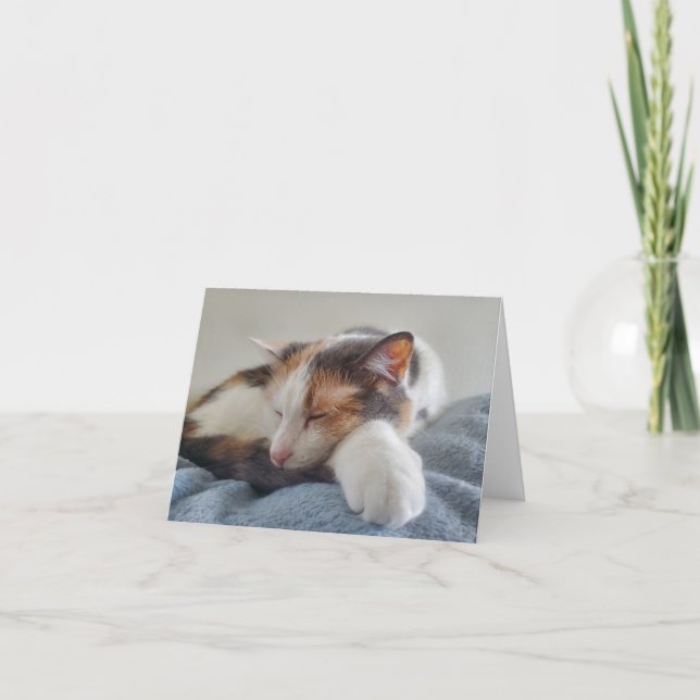 Carte Chat Calico (Devant)