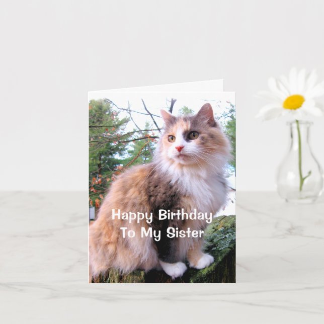 Carte Chat Calico Anniversaire Soeur (Petite plante)