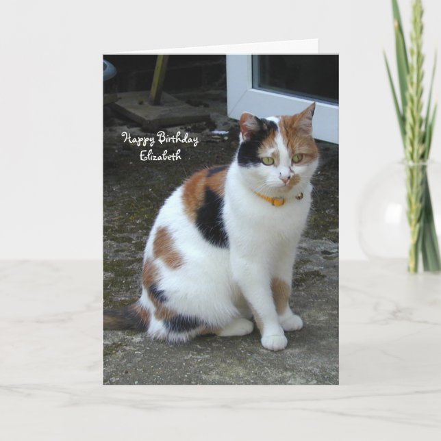 Carte Chat Calico personnalisé assis en dehors de l'Anni (Devant)