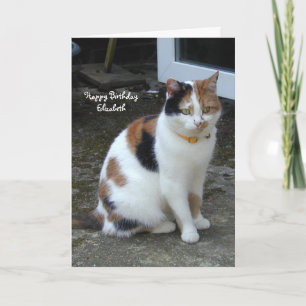Carte Chat Calico personnalisé assis en dehors de l'Anni