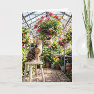 Carte Chat calicot d'anniversaire sur un tabouret de ser
