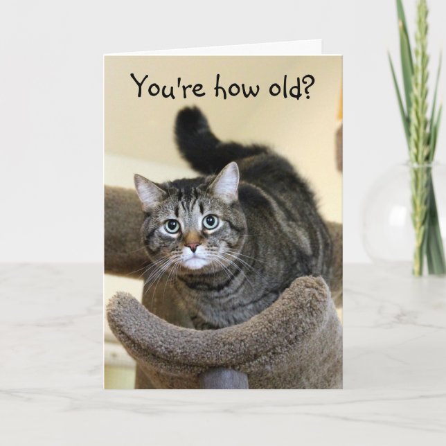 Carte Chat Chocs Voeux d'anniversaire (Devant)