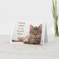 *CHAT COMÉDIQUE* POUR L'ANNIVERSAIRE DE MA * SOEUR
