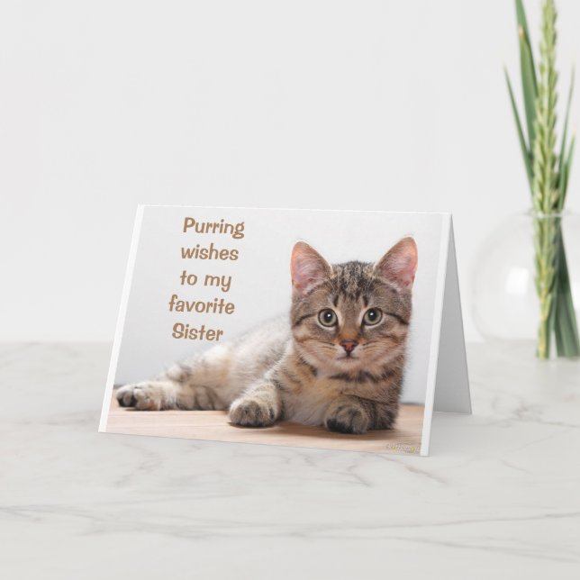 CARTE *CHAT COMÉDIQUE* POUR L'ANNIVERSAIRE DE MA * SOEUR (Devant)