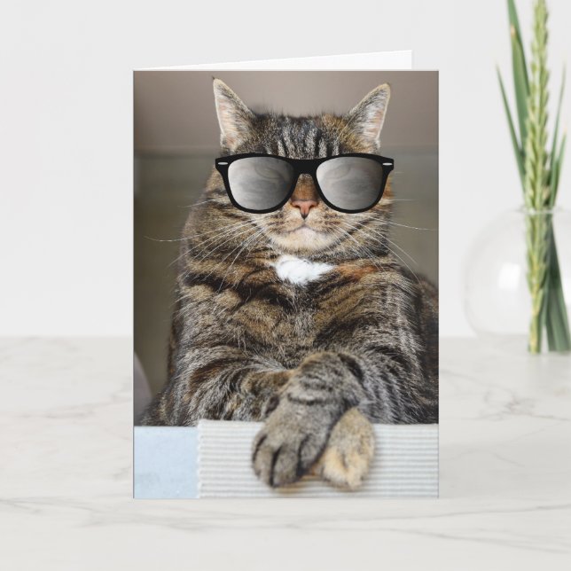 Carte CHAT cool JEUX ANNIVERSAIRE SOLEILS DE SOLEIL CART (Devant)