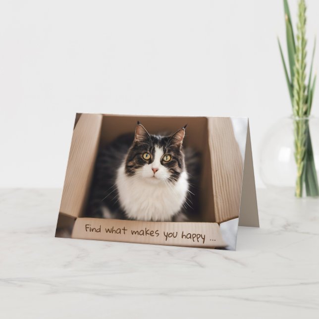 Carte Chat d'anniversaire dans une boîte en carton (Devant)