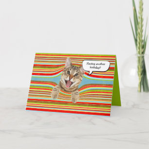 Carte Chat d'anniversaire en bandes