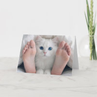 Chat d'anniversaire et pieds humains sous une coue