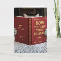 Chat d'anniversaire lisant un livre sur la formati