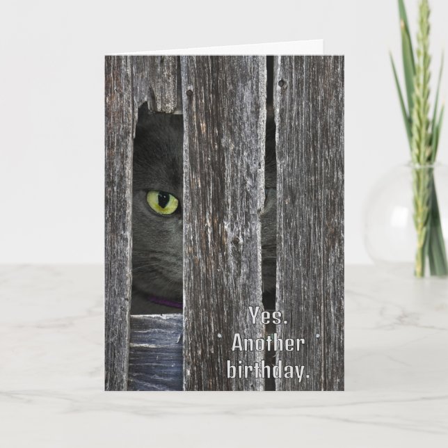 Carte Chat d'anniversaire se cachant derrière la grange  (Devant)