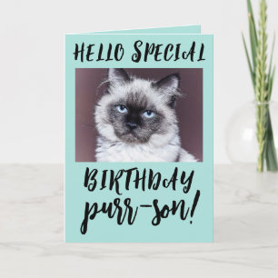 CARTE CHAT D'ANNIVERSAIRE SIAMESE PERSIAN GREETING CARD