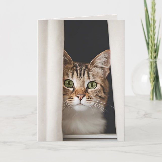 Carte Chat Dans La Fenêtre De Miss You (Devant)