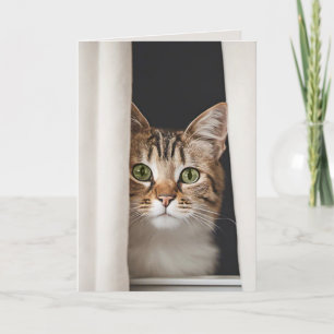 Carte Chat Dans La Fenêtre De Miss You