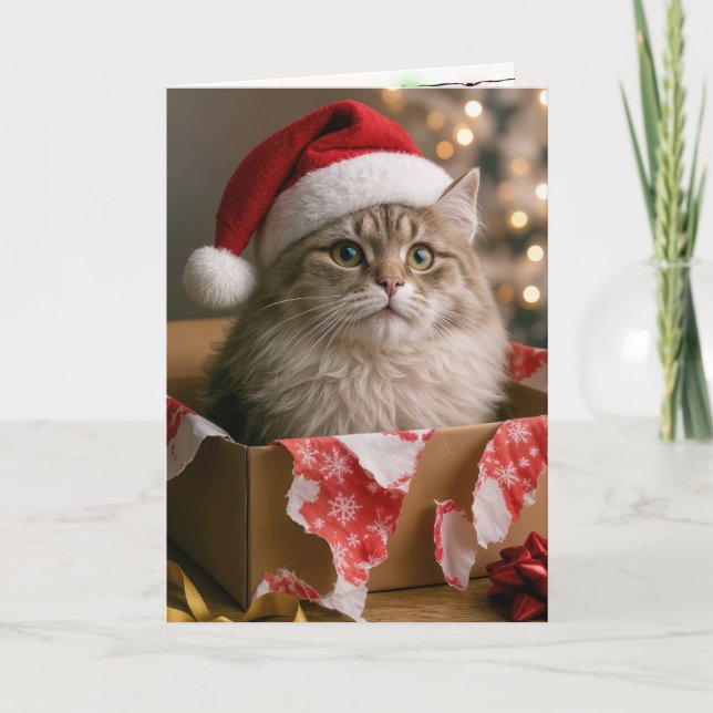 Carte Chat dans une boîte de cadeau de Noël (Devant)
