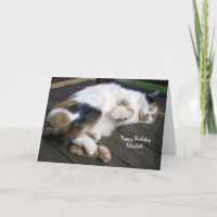 Chat de calicot personnalisé courbé vers le haut