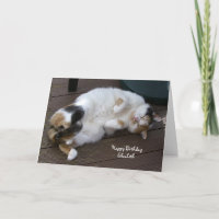 Chat de calicot personnalisé courbé vers le haut