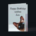 Carte Chat de Fun Son Birthday<br><div class="desc">Funny Son Birthday Wishes Siamese Cat Animal Humor you up Perfect for that Son in your life with a sense of humour,  a love of cats and a birthday</div>