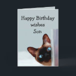 Carte Chat de Fun Son Birthday<br><div class="desc">Funny Son Birthday Wishes Siamese Cat Animal Humor you up Perfect for that Son in your life with a sense of humour,  a love of cats and a birthday</div>