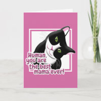 Chat de la Fête des Mères