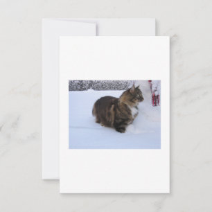 Carte chat des forêts norvégiennes dans la neige