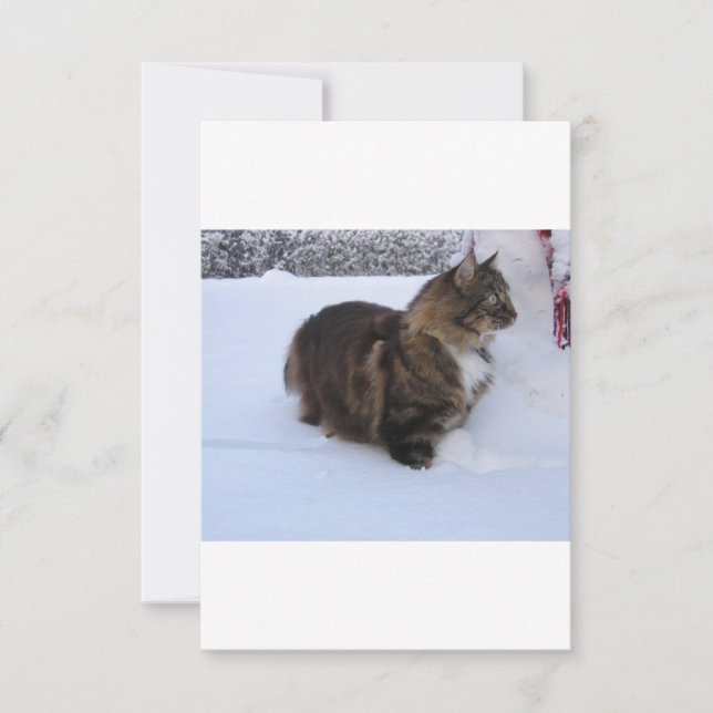 Carte chat des forêts norvégiennes dans la neige (Devant)