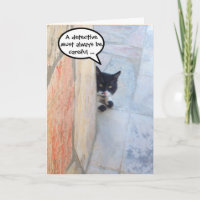 CHAT DÉTECTIF DERRIÈRE LE MUR DE PIERRE / Fête des