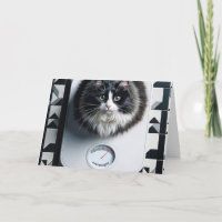 Chat d'humour sur la perte de poids sur une balanc