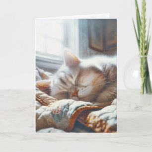 Carte Chat Dormir Sur Ancienne Quilote