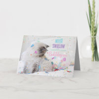 Chat Drôle Avec Bubblegum Bubble Joyeux Anniversai