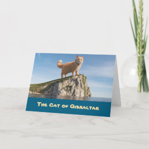Carte Chat drôle de Gibraltar