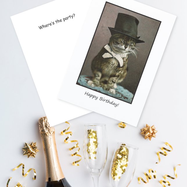 Carte Chat drôle en Casquette Anniversaire (Créateur téléchargé)