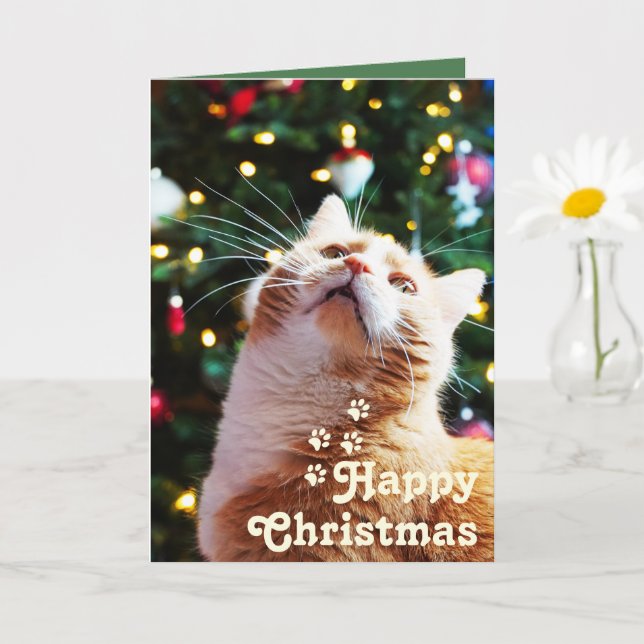 Carte Chat drôle et arbre vert&Noël unique   (Petite plante)