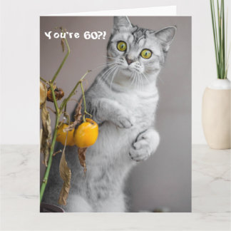 Carte Chat drôle Joyeux 60e anniversaire