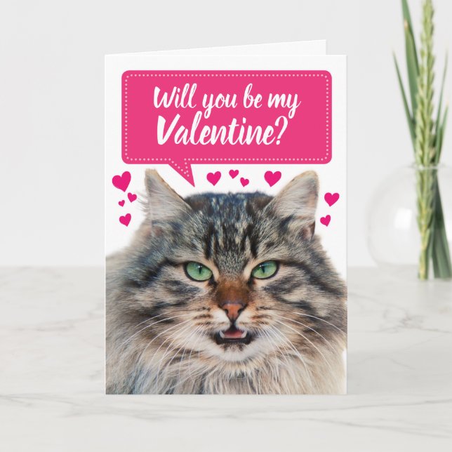 Carte Chat Drôle Serez-Vous Mon Valentin ? (Devant)