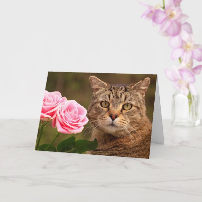 Carte Chat Et Deux Roses Anniversaire (Orchidée)