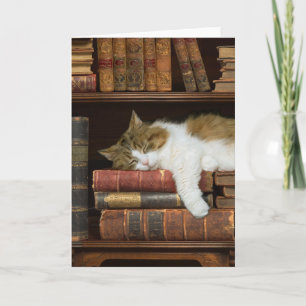 Carte Chat et livres