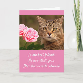 Carte Chat et Rose Cancer du sein