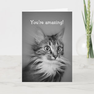 Carte Chat Étonné Avec Ruff Cou Joyeux Anniversaire