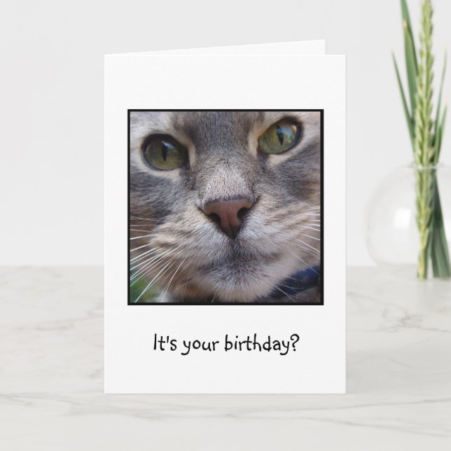 Carte Chat étonné, c'est votre anniversaire ? (Devant)