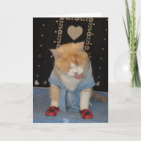 Chat Funny personnalisable en peignoir Se tirer bi