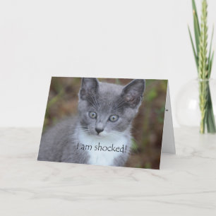Carte Chat gris Belated Anniversaire