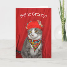 Chat gris et blanc Hippie Valentine's ou Anniversa