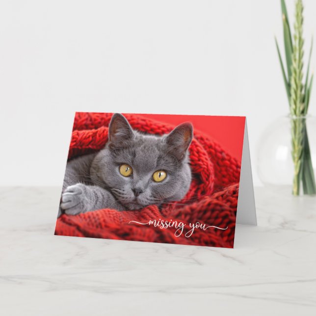 Carte Chat Gris Manquant dans un Afghan Rouge Tricoté (Devant)