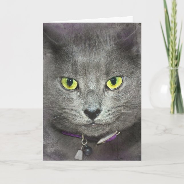 Carte Chat Gris Obtenir un vieil Humour (Devant)